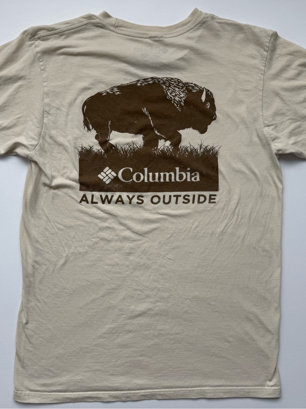 Gorpcore Outdoor Nature Hiking Athletic Activewear Bison Graphic Tee